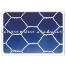 Hexagonal mesh